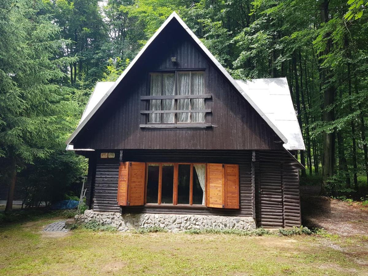 Slovak Cottage Near Bratislava In The Heart Of The Carpathians Модра Экстерьер фото