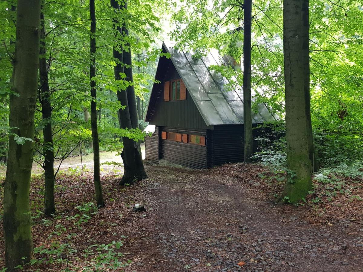 Slovak Cottage Near Bratislava In The Heart Of The Carpathians Модра Экстерьер фото