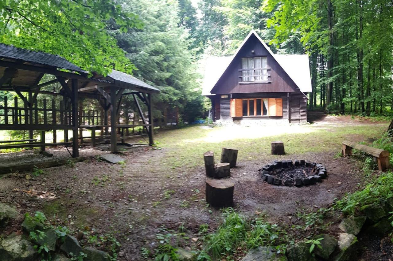 Slovak Cottage Near Bratislava In The Heart Of The Carpathians Модра Экстерьер фото